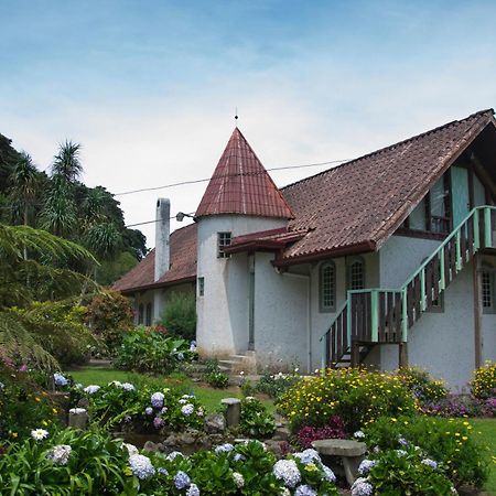 Hotel Chalet Tirol هيريديا المظهر الخارجي الصورة