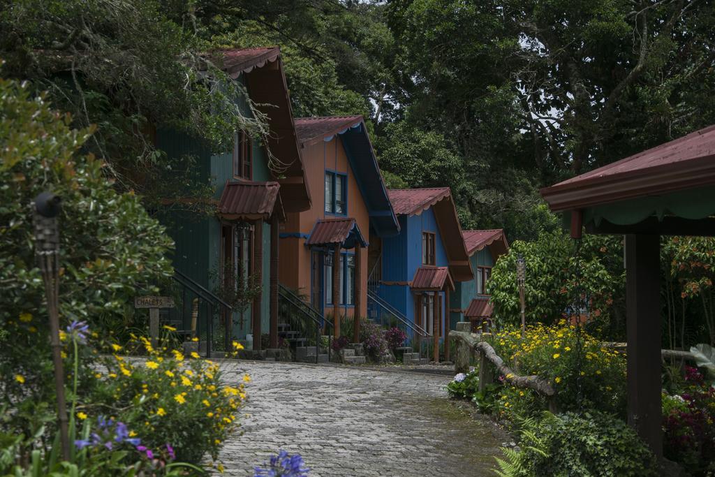 Hotel Chalet Tirol هيريديا المظهر الخارجي الصورة